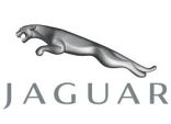 Jaguar pour cosmétique 
