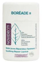 Réparation de Boreade Stick Lip Réparation de Boreade Stick Lip