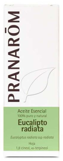 Eucalyptus Radiata Essential Oil Eucalyptus Radiata Essential Oil