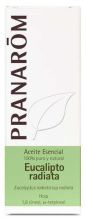 Eucalyptus Radiata Essential Oil Eucalyptus Radiata Essential Oil