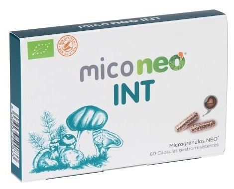 Mico Int 60 Gélules Mico Int 60 Gélules