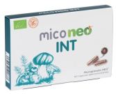 Mico Int 60 Gélules Mico Int 60 Gélules