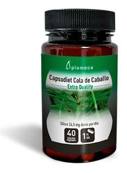 Prêle 40 Capsules Prêle 40 Capsules