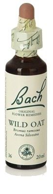 Bach 20 Wild Oat 20 ml