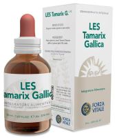 Les Tamaris Tamarix gallica 50ml. Les Tamaris Tamarix gallica 50ml.