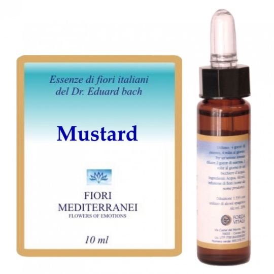 Fm 21 Moutarde 10 ml