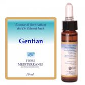 Fm 12 gentiane 10 ml