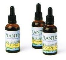 Extrait de Gingko Biloba 50 ml Maese Herbario Extrait de Gingko Biloba 50 ml Maese Herbario