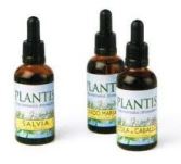 Extrait de Gingko Biloba 50 ml Maese Herbario Extrait de Gingko Biloba 50 ml Maese Herbario