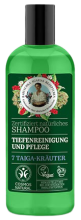 Shampooing nettoyant en profondeur 260 ml