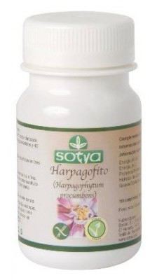 Harpagophyto 500 mg 100 Comprimés Harpagophyto 500 mg 100 Comprimés