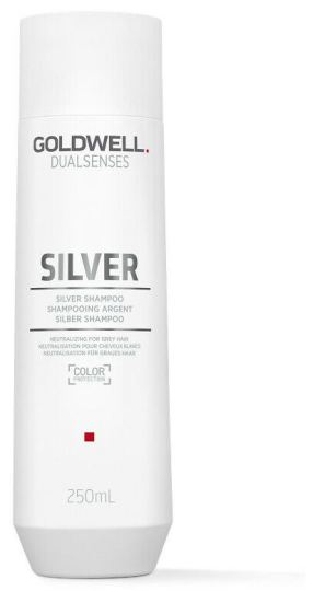Goldwell Shampooing Dual Silver 250 ml